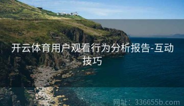 开云体育用户观看行为分析报告-互动技巧