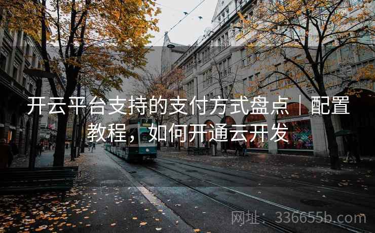 开云平台支持的支付方式盘点｜配置教程，如何开通云开发