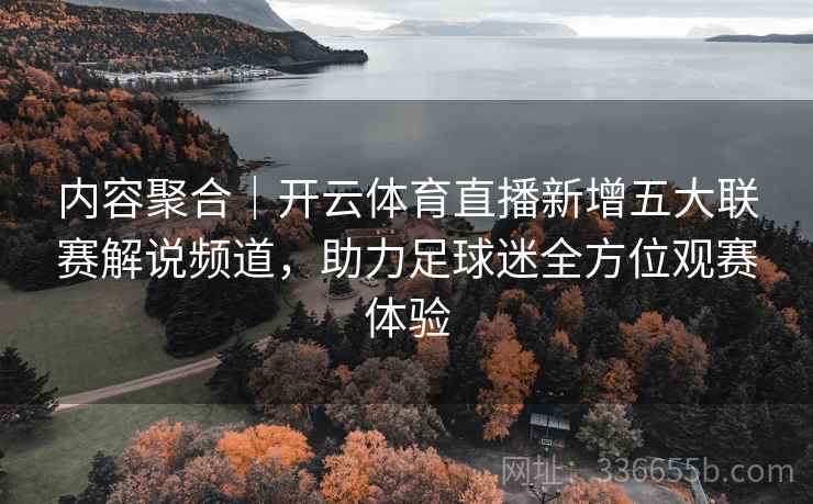 内容聚合｜开云体育直播新增五大联赛解说频道，助力足球迷全方位观赛体验