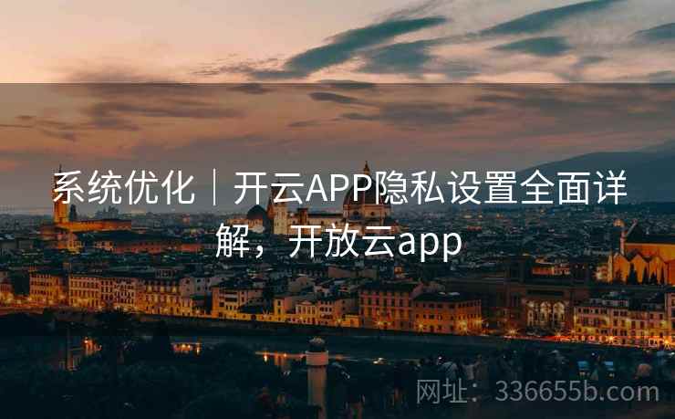 系统优化｜开云APP隐私设置全面详解，开放云app