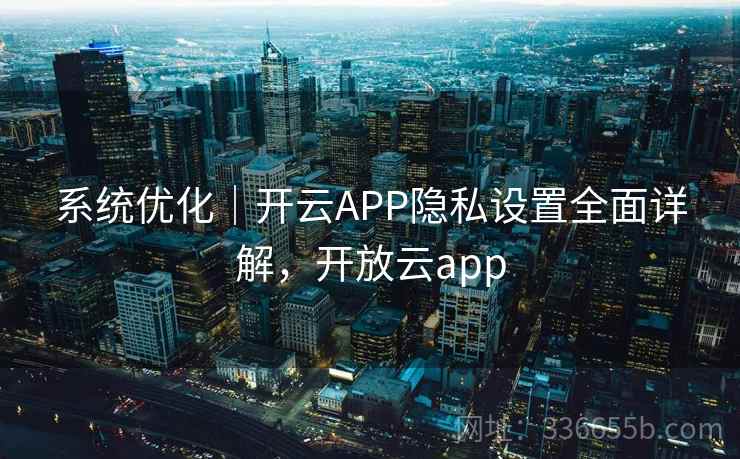 系统优化｜开云APP隐私设置全面详解，开放云app