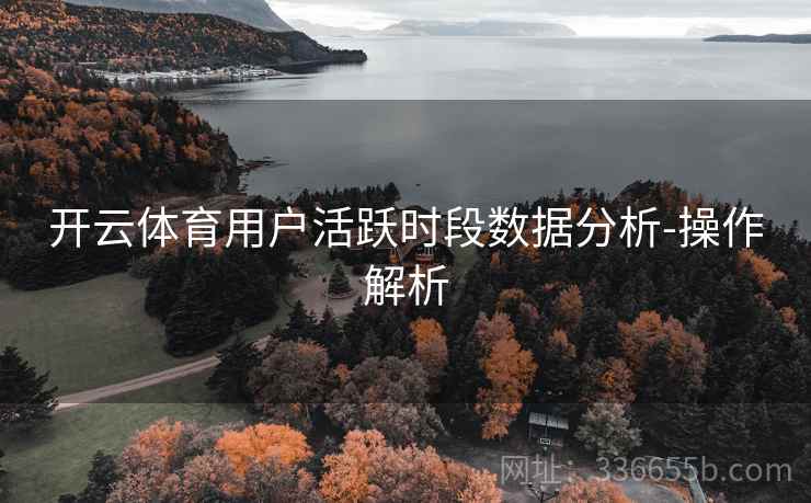 开云体育用户活跃时段数据分析-操作解析