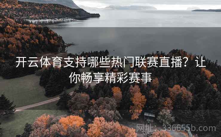 开云体育支持哪些热门联赛直播？让你畅享精彩赛事