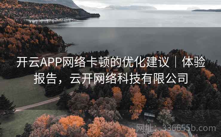 开云APP网络卡顿的优化建议｜体验报告，云开网络科技有限公司