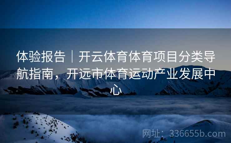 体验报告｜开云体育体育项目分类导航指南，开远市体育运动产业发展中心