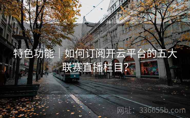 特色功能｜如何订阅开云平台的五大联赛直播栏目？